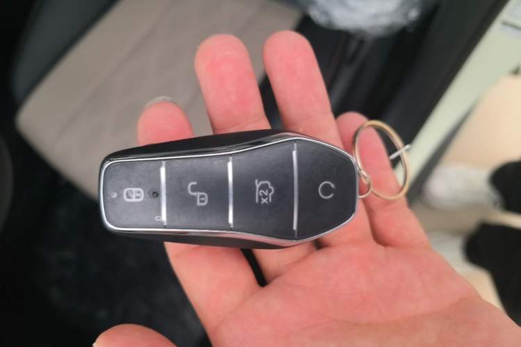 Used BYD Dolphin 2025 420km Free Edition Vehicle Key