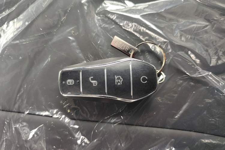 Used BYD Dolphin 2025 420km Free Edition Vehicle Key