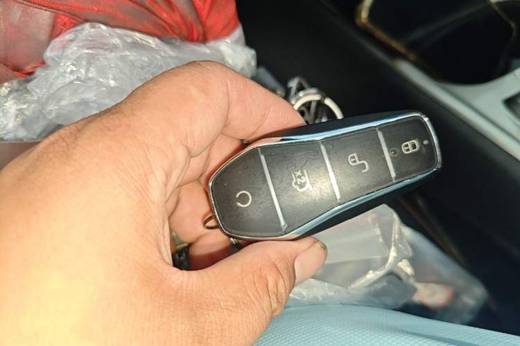 Used BYD Dolphin 2025 420km Free Edition Vehicle Key