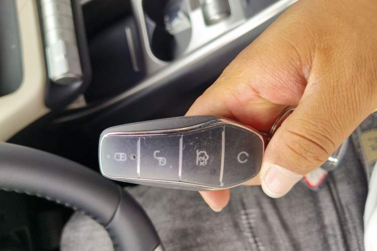 Used BYD Dolphin 2025 420km Free Edition Vehicle Key