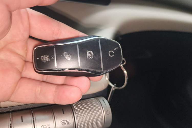 Used BYD Dolphin 2025 420km Free Edition Vehicle Key