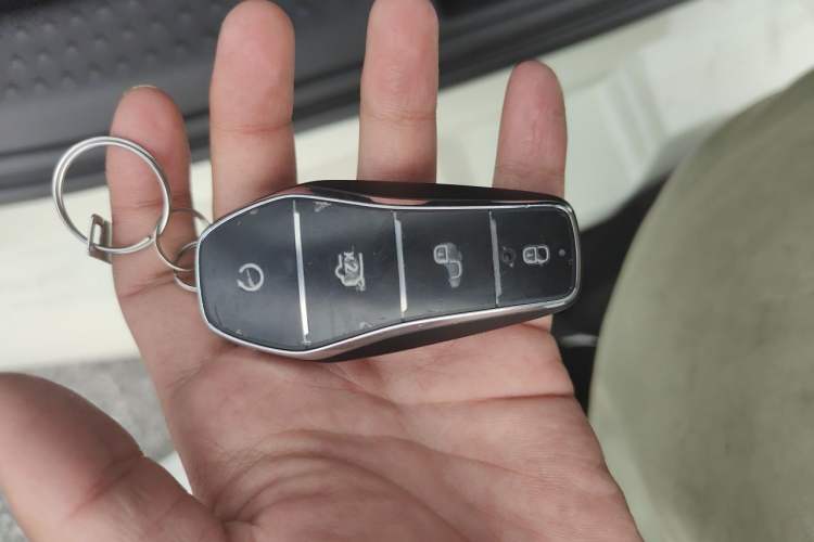 Used BYD Dolphin 2025 420km Free Edition Vehicle Key