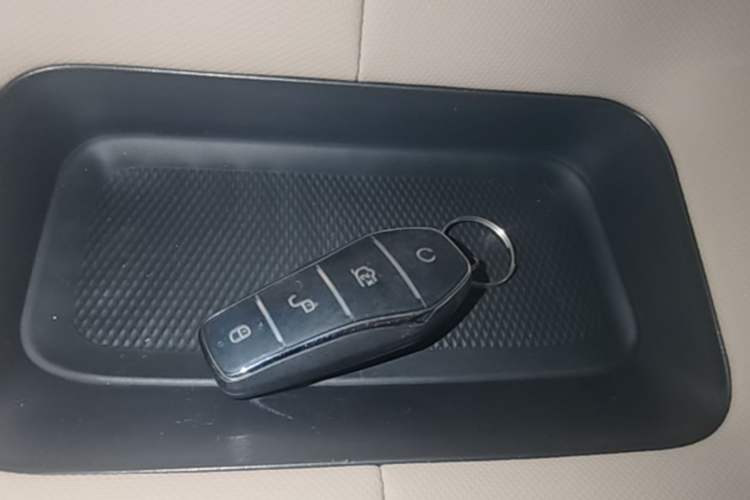 Used BYD Dolphin 2025 420km Free Edition Vehicle Key