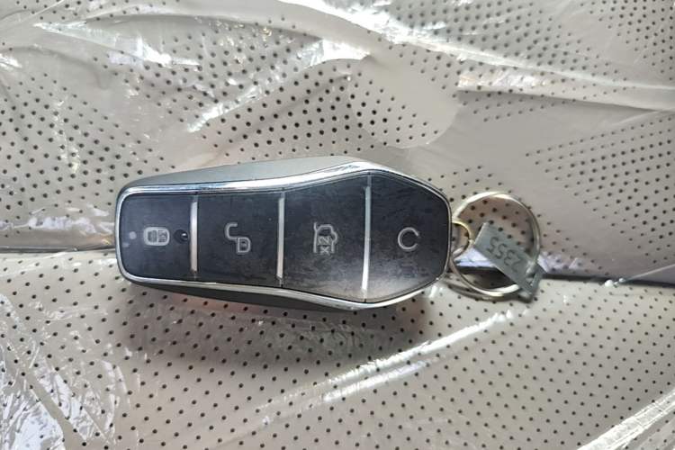 Used BYD Dolphin 2025 420km Free Edition Vehicle Key