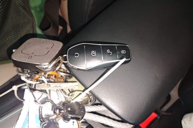 Used BYD Dolphin 2025 Intelligent Driving Version 410 km Fashion Edition Vehicle Key