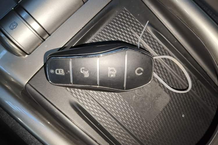 Used BYD Dolphin 2025 420km Fashion Edition Vehicle Key