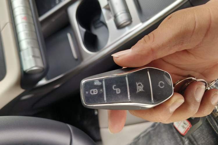 Used BYD Dolphin 2025 420km Free Edition Vehicle Key