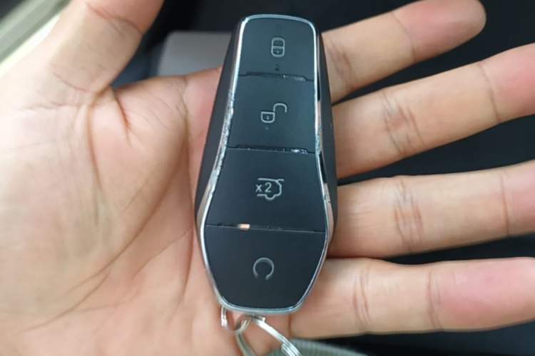Used BYD Dolphin 2025 420km Free Edition Vehicle Key