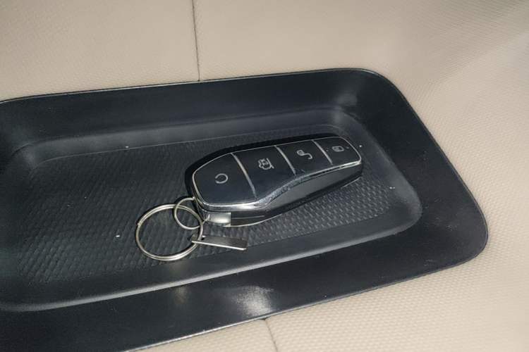 Used BYD Dolphin 2025 420km Free Edition Vehicle Key