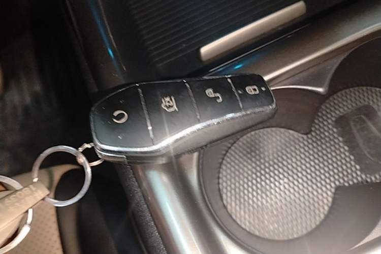 Used BYD Dolphin 2025 420km Free Edition Vehicle Key