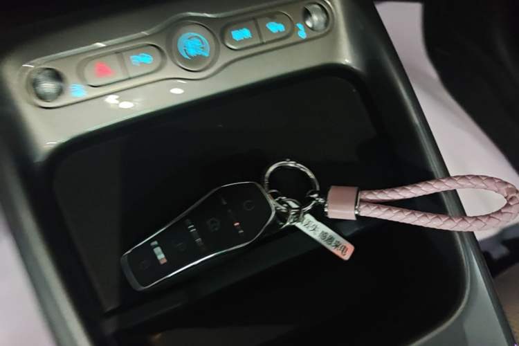 Used BYD Dolphin 2025 Intelligent Driving Version 410 km Fashion Edition Vehicle Key