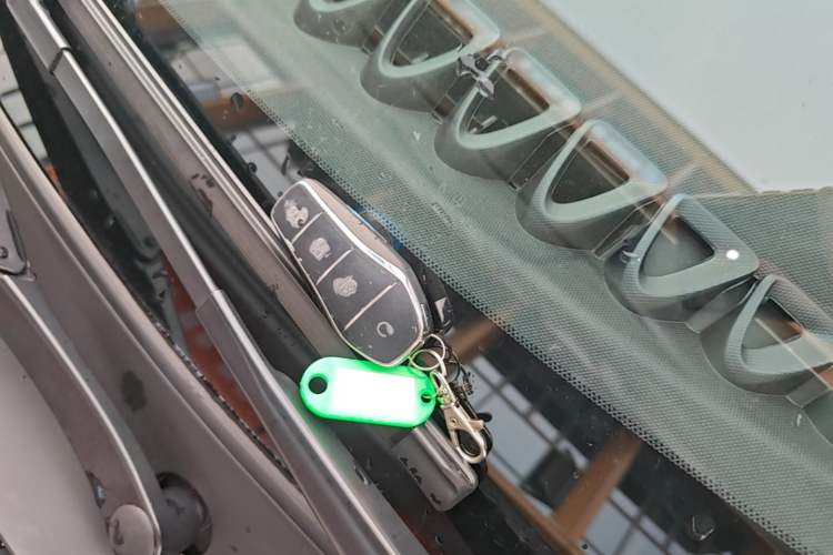 Used BYD Dolphin 2025 420km Free Edition Vehicle Key