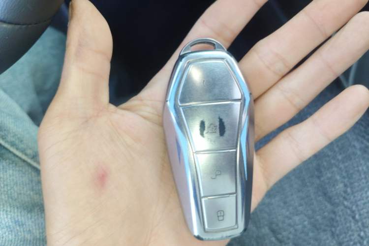 Used BYD Dolphin 2025 Smart Drive Version 420 km Freedom Edition Vehicle Key