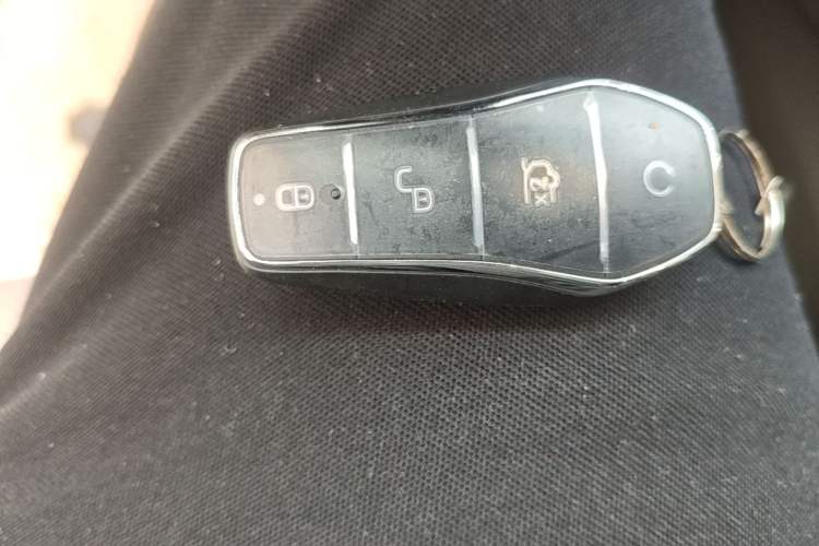 Used BYD Dolphin 2025 420km Free Edition Vehicle Key