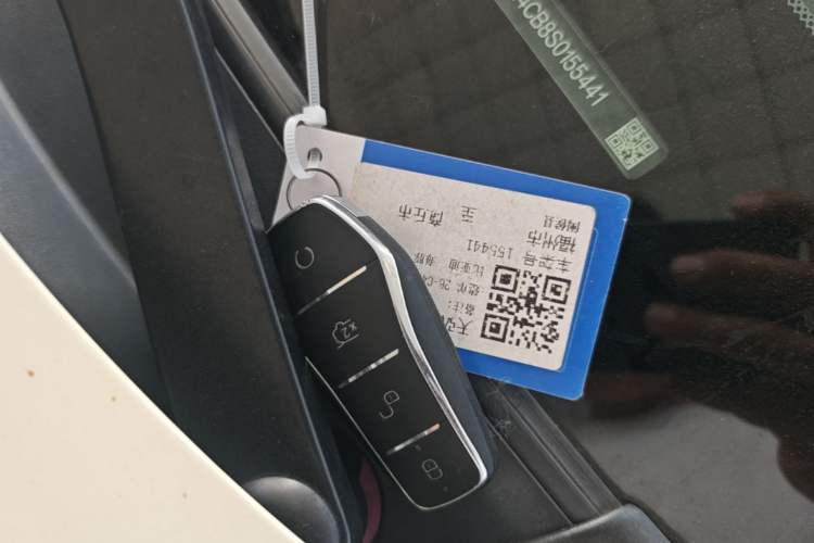 Used BYD Dolphin 2025 Intelligent Driving Version 410 km Fashion Edition Vehicle Key