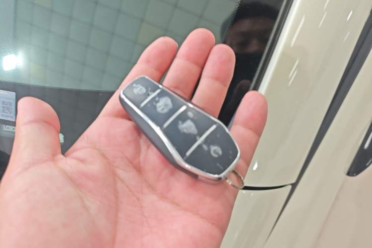 Used BYD Dolphin 2025 Intelligent Driving Version 410 km Fashion Edition Vehicle Key