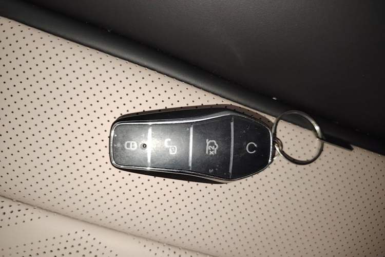 Used BYD Dolphin 2025 420km Free Edition Vehicle Key