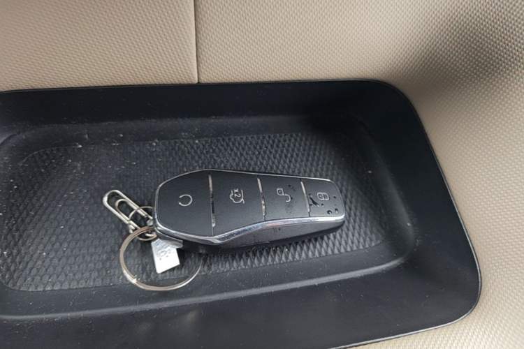 Used BYD Dolphin 2025 420km Free Edition Vehicle Key