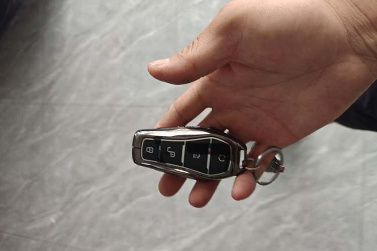 Used BYD Dolphin 2025 Intelligent Driving Version 410 km Fashion Edition Vehicle Key