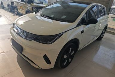 Used BYD Dolphin 2025 Intelligent Driving Version 410 km Fashion Edition