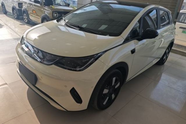 Used BYD Dolphin 2025 Intelligent Driving Version 410 km Fashion Edition