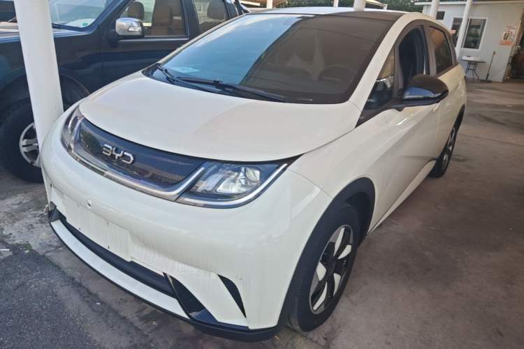 BYD Dolphin 2025 420km Fashion Edition