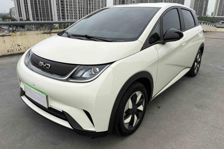 BYD Dolphin 2025 420km Free Edition
