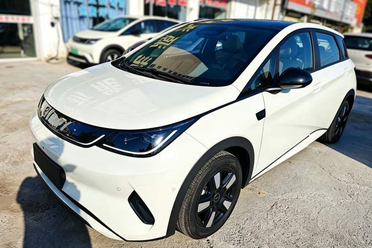 BYD Dolphin 2025 Intelligent Driving Version 410 km Fashion Edition
