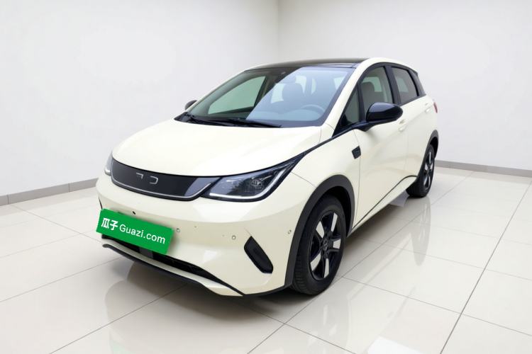 BYD Dolphin 2025 Intelligent Driving Version 410 km Fashion Edition