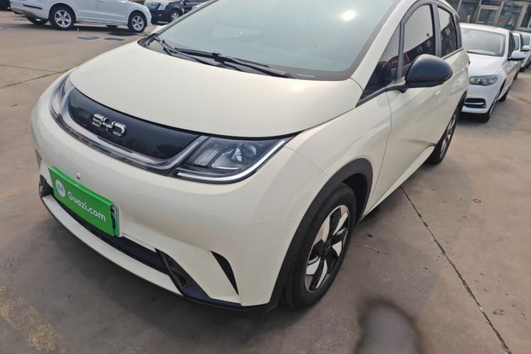 BYD Dolphin 2025 420km Free Edition
