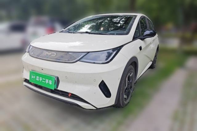 Used BYD Dolphin 2025 Smart Drive Version 420 km Freedom Edition