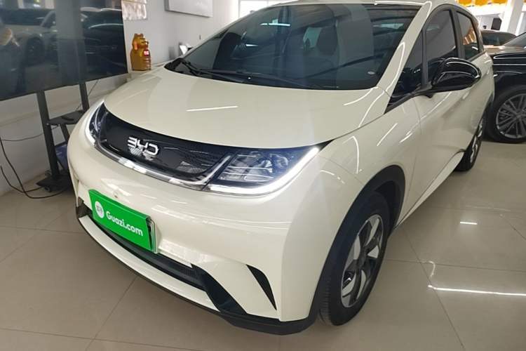 Used BYD Dolphin 2025 420km Free Edition Guazi used car, China used car export, Used car for sale, Used cars, Cheapest cars for sale