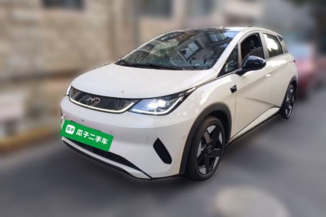 BYD Dolphin 2025 Intelligent Driving Version 520km Range Knight Edition usata