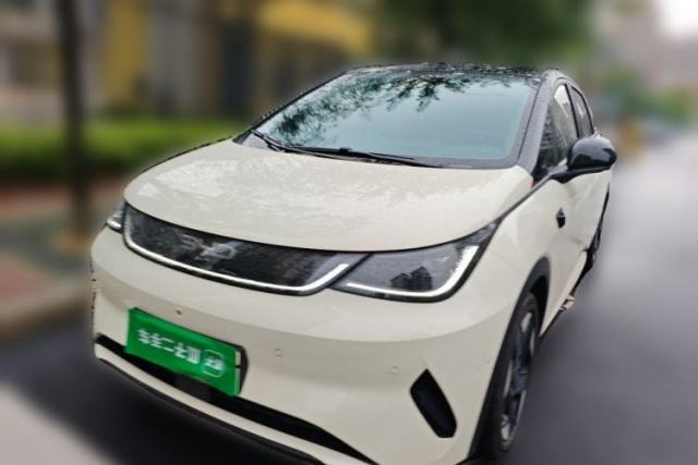 Used BYD Dolphin 2025 Intelligent Driving Version 520km Range Knight Edition