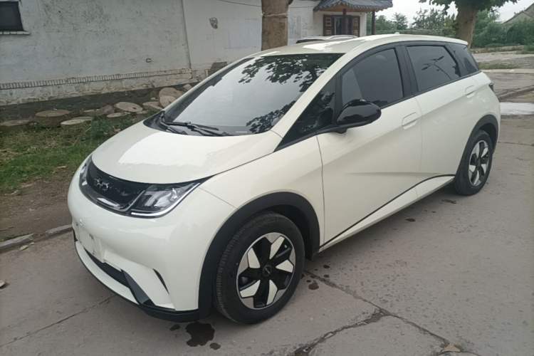 Used BYD Dolphin 2025 420km Free Edition Guazi used car, China used car export, Used car for sale, Used BYD cars, Cheapest cars for sale, Electric vehicle, New energy car