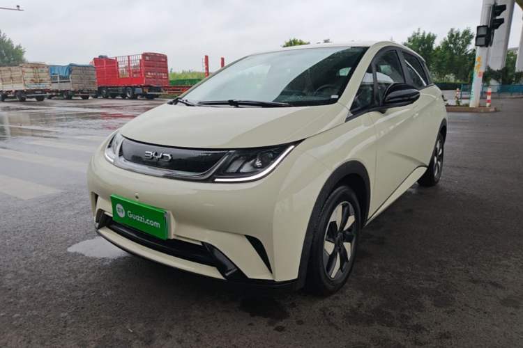 Used BYD Dolphin 2025 420km Free Edition Guazi used car, China used car export, Used car for sale, Used  cars, Cheapest cars for sale