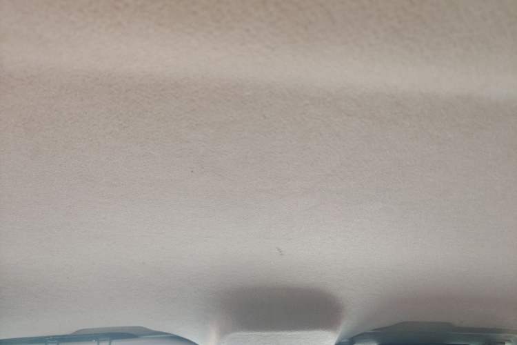 Used BYD e1 2019 Edition Yue Headliner