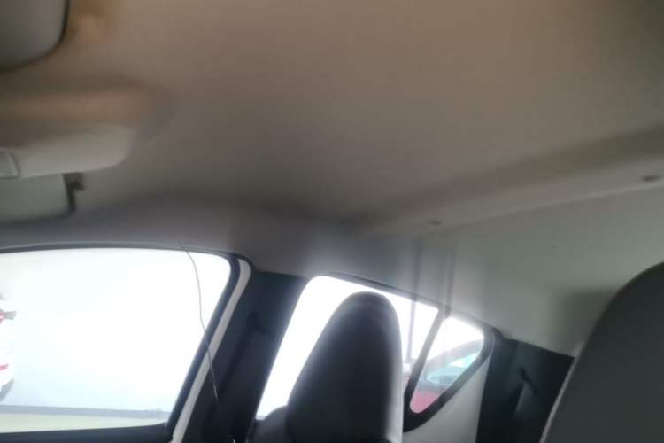 Used BYD e1 2019 Edition Yue Headliner