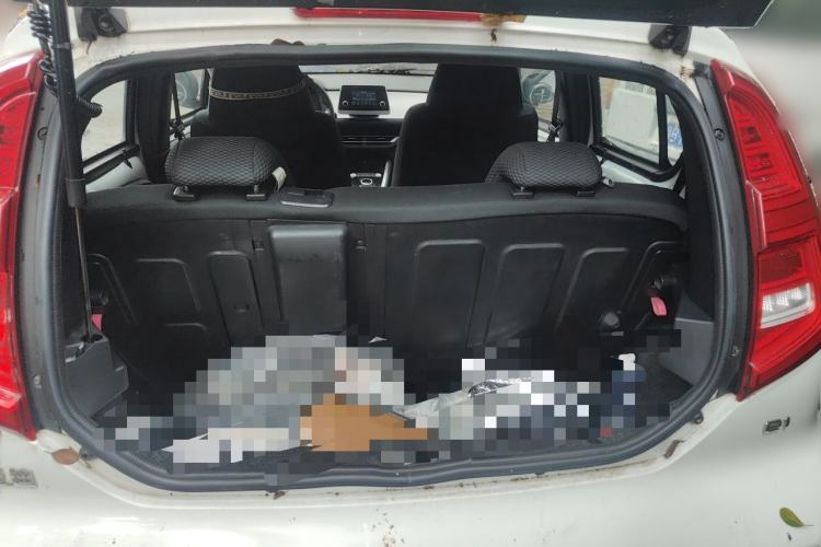 Used BYD e1 2019 Smart Edition Trunk