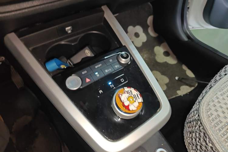 Used BYD e1 2020 Smart Comfort Version Gear Lever