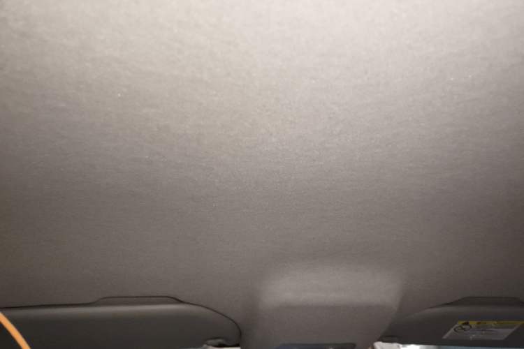 Used BYD e1 2020 Smart Comfort Version Headliner