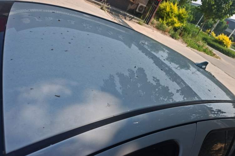 Used BYD e1 2020 Smart Comfort Version Roof