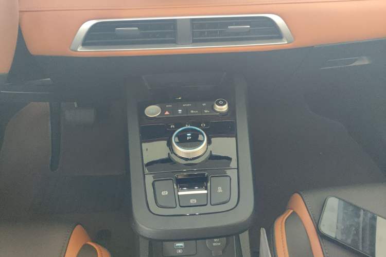 Used BYD e2 2021 Luxury Model Gear Lever