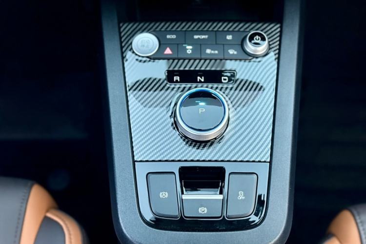 Used BYD e2 2020 Upgraded Version Long-Range Edition Luxury Model Gear Lever