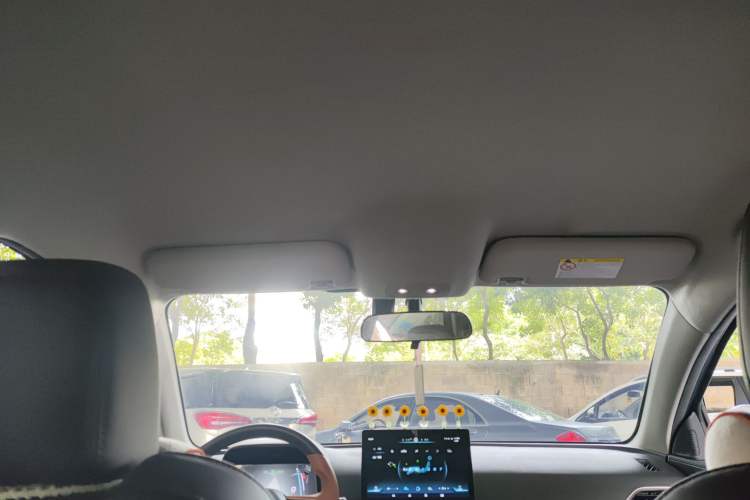 Used BYD e2 2021 Luxury Model Headliner