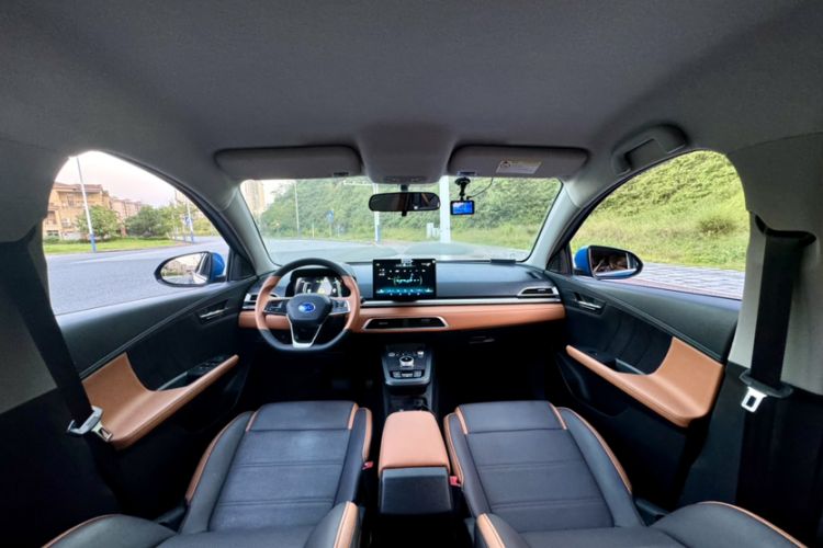 Used BYD e2 2020 Upgraded Version Long-Range Edition Luxury Model Headliner