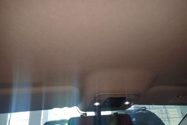 Used BYD e2 2019 Standard Range Model – Smart & Comfortable Version Headliner