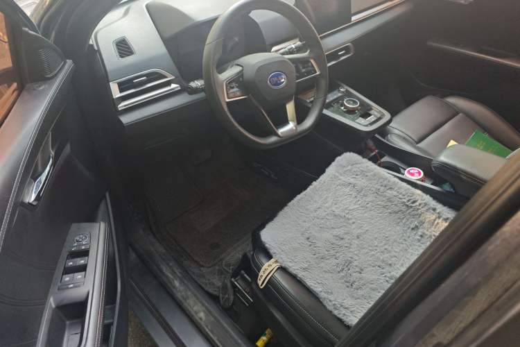 Used BYD e2 2019 Long-Range Version Yao·Luxury Trim Driver Seat