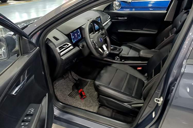 Used BYD e2 2019 Long-Range Version Yao·Luxury Trim Driver Seat