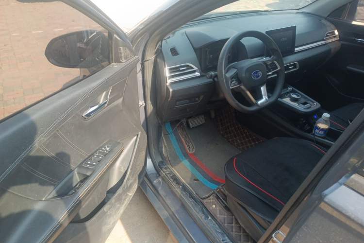 Used BYD e2 2019 Long-Range Version Yao·Luxury Trim Driver Seat